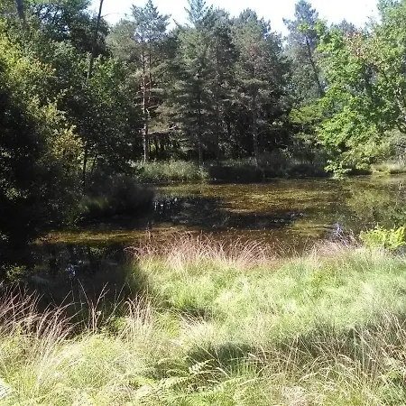 Le Moulin Vieux * Garein