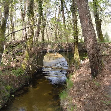 Le Moulin Vieux *